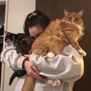 Meet your Posher, Stevie